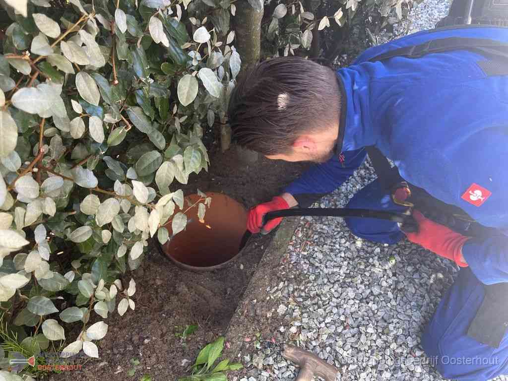 Rioolvliegjes Oosterhout Rioolvliegjes Oosterhout